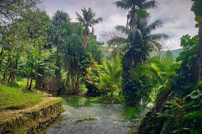 Rastafari Cultural ATV Community Experience from Negril - Fruit, Plants, and Stories Along the Route