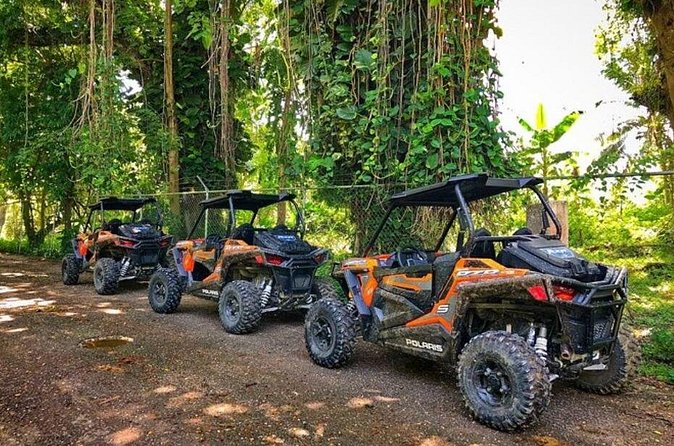 Rastafari Cultural ATV Community Experience from Negril - How Much Value Do You Get for $164.59?