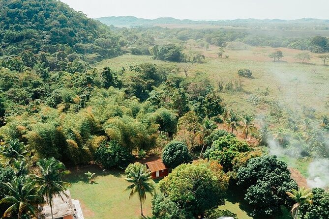 Rastafari Cultural ATV Community Experience from Negril - Hotel Pickup and the Walk to the ATV Base