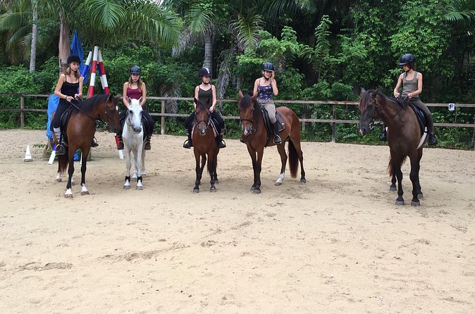 Ride Horses on the Beach - Safety, comfort, and the horses
