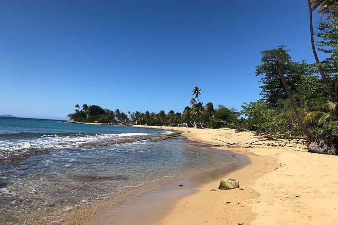 Rincon Snorkeling Adventure - How comfortable do you need to be in the water?