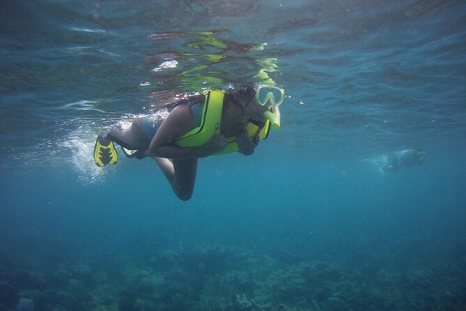 Rincon Snorkeling Adventure - Is $59 a good value?