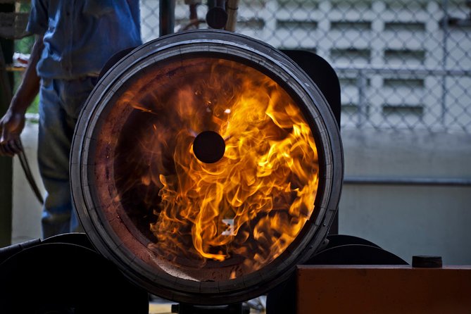 Ron Barcelo Anejo Experience Factory Tour - Timing, weather, and booking details