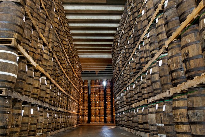 Ron Barcelo Anejo Experience Factory Tour - Sugar cane, rum making, and Dominican context
