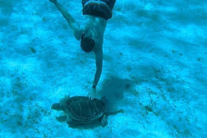 Rose Island Adventure: Snorkel, Sea Turtles, and Private Beach - How the crew shapes the day