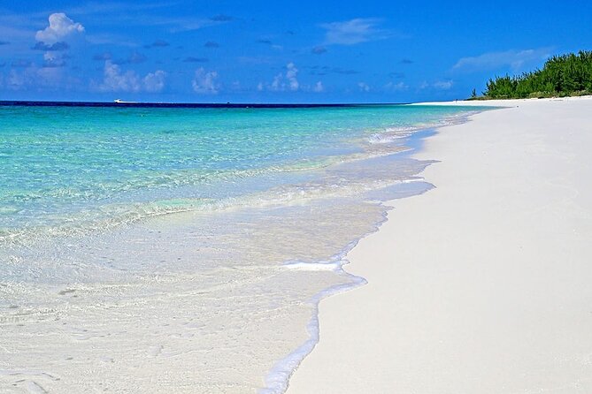 Rose Island Half-Day Snorkeling Cruise - What the $750 group price means