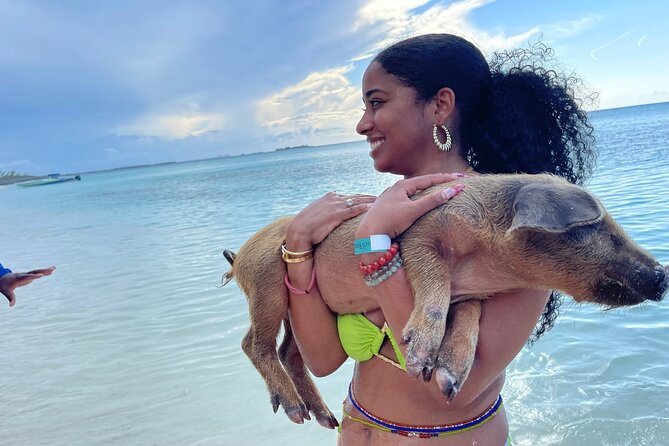 Rose Island Private Beach: Swimming with the Pigs - Key points to know before you book