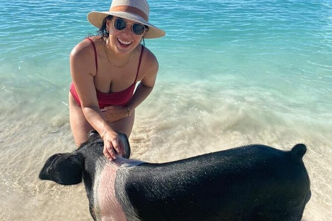 Rose Island Private Beach: Swimming with the Pigs - The private 007 Beach Club on Rose Island