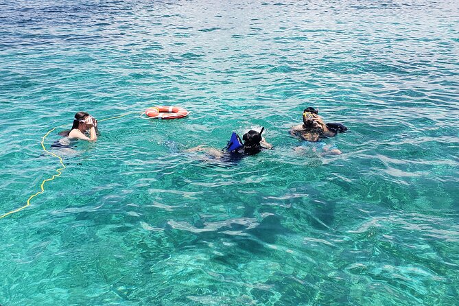 Rose Island: Private Snorkeling, Fishing, and Swimming with Pigs - What Captain Frenchie and the crew add