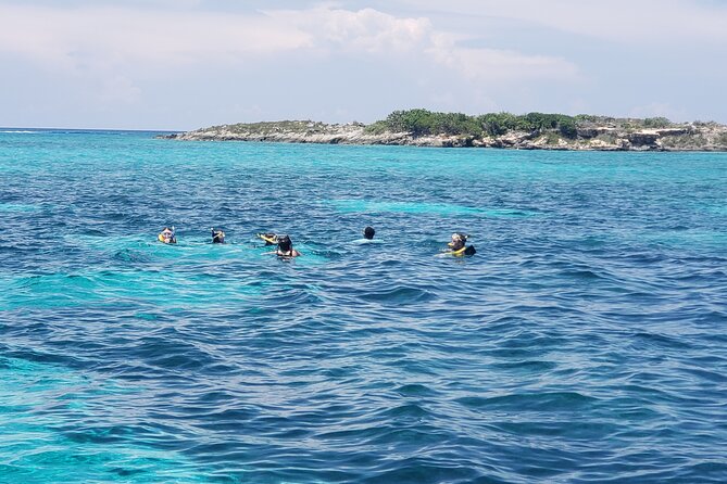 Rose Island: Private Snorkeling, Fishing, and Swimming with Pigs - Price, group size, and what you really get