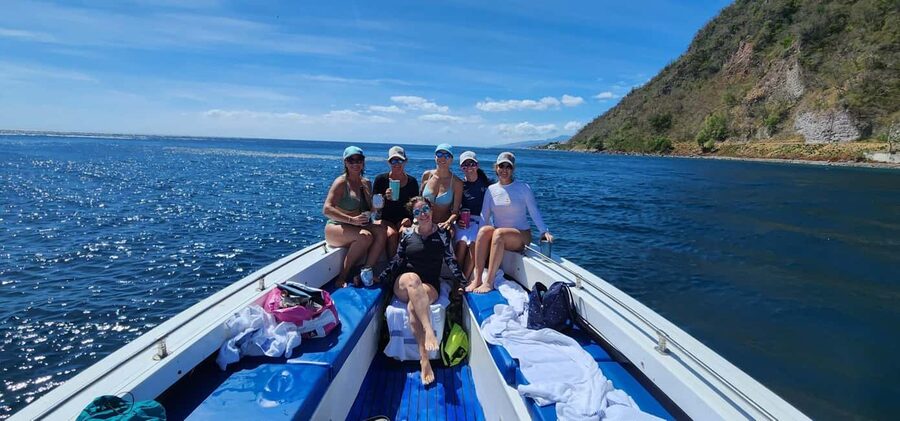 Roseau: Guided Dolphin and Whale Watching Tour With Drinks - What you may see beyond sperm whales