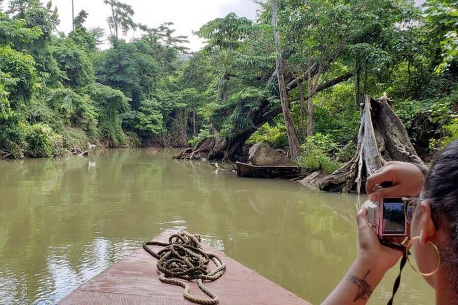Roseau: Indian River and Fort Shirley Tour with Lunch - Key points to know before booking