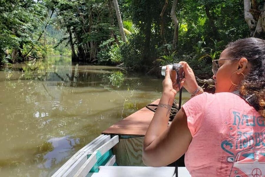 Roseau: Indian River and Fort Shirley Tour with Lunch - The Indian River by hand-rowed boat