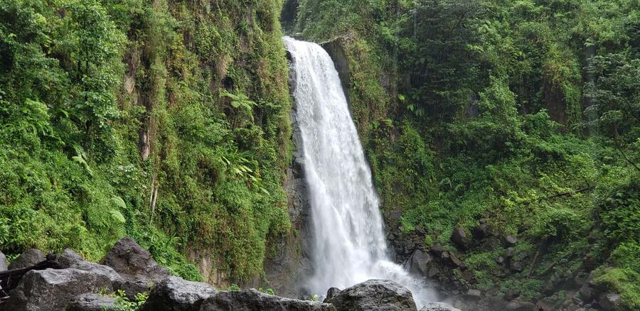Roseau: Titou Gorge, Hot Spring, Falls & Champagne Reef Tour - Key points at a glance