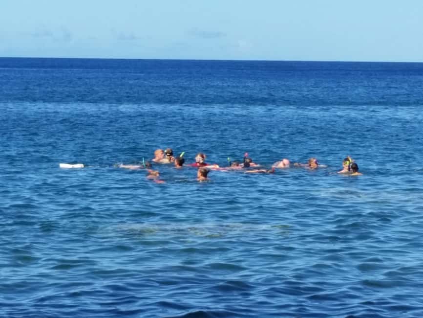 Roseau: Titou Gorge, Hot Spring, Falls & Champagne Reef Tour - Titou Gorge delivers the biggest thrill