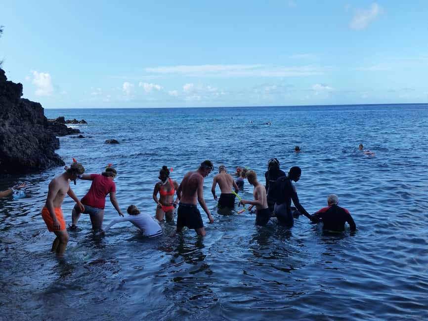 Roseau: Titou Gorge, Hot Spring, Falls & Champagne Reef Tour - Tia Hot Spa is the day’s recovery stop