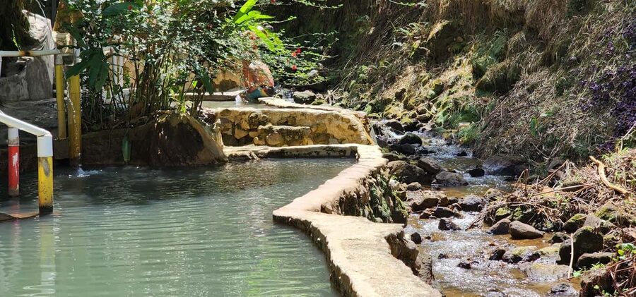 Roseau: Titou Gorge, Hot Spring, Falls & Champagne Reef Tour - The Botanical Gardens and Morne Bruce finish the tour
