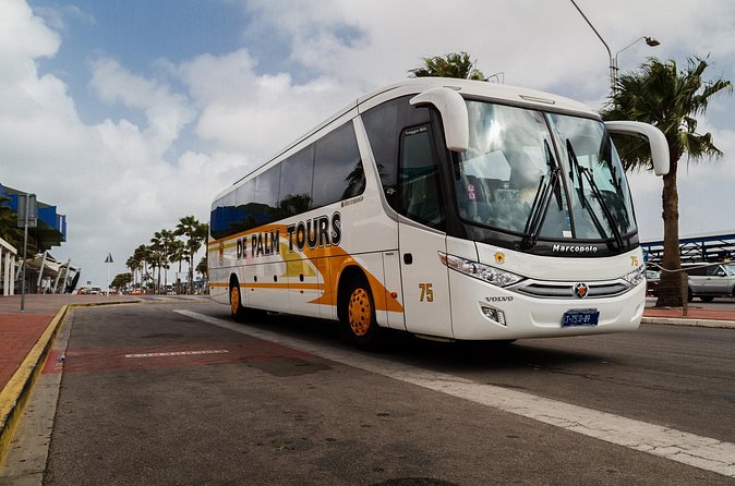 Round Trip Aruba Airport Transfer - Booking details that can prevent trouble