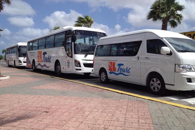 Round Trip Private Airport Transfer - Why a private vehicle can be worth $135