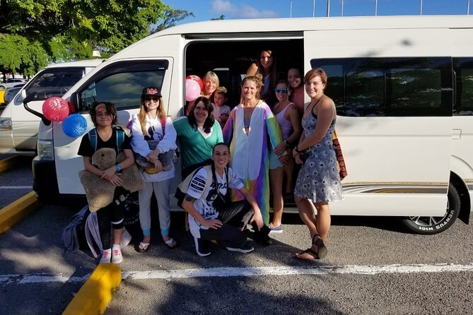 Round-Trip Transfer between Antigua Airport and Antigua Hotels - The return to the airport