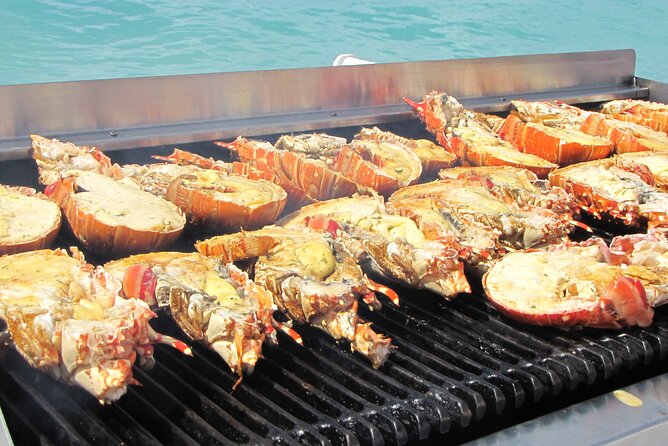 Sail and Snorkel at Cades Reef - Who will enjoy this boat day most?