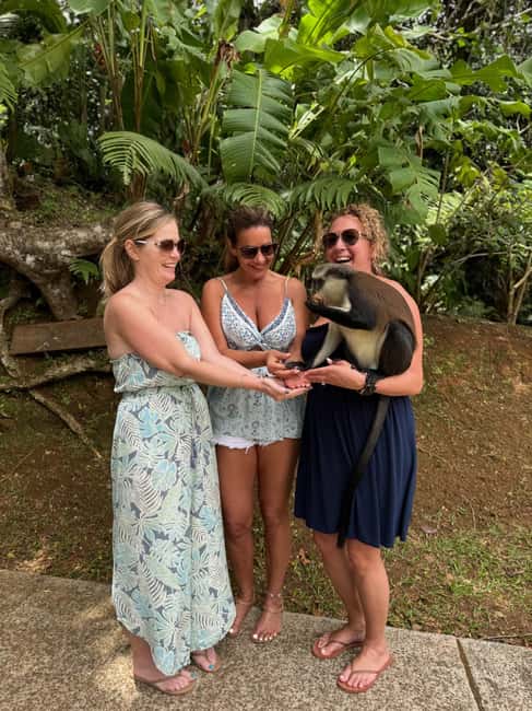 Saint George's: Grenada River Tubing & Waterfall island tour - The guides make the difference