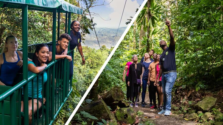 Saint Lucia: Aerial Tram Tour at Rainforest Adventures - Key points to know before you book