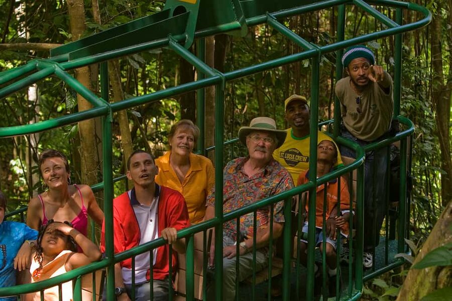 Saint Lucia: Aerial Tram Tour at Rainforest Adventures - Walking the fern-lined nature trail