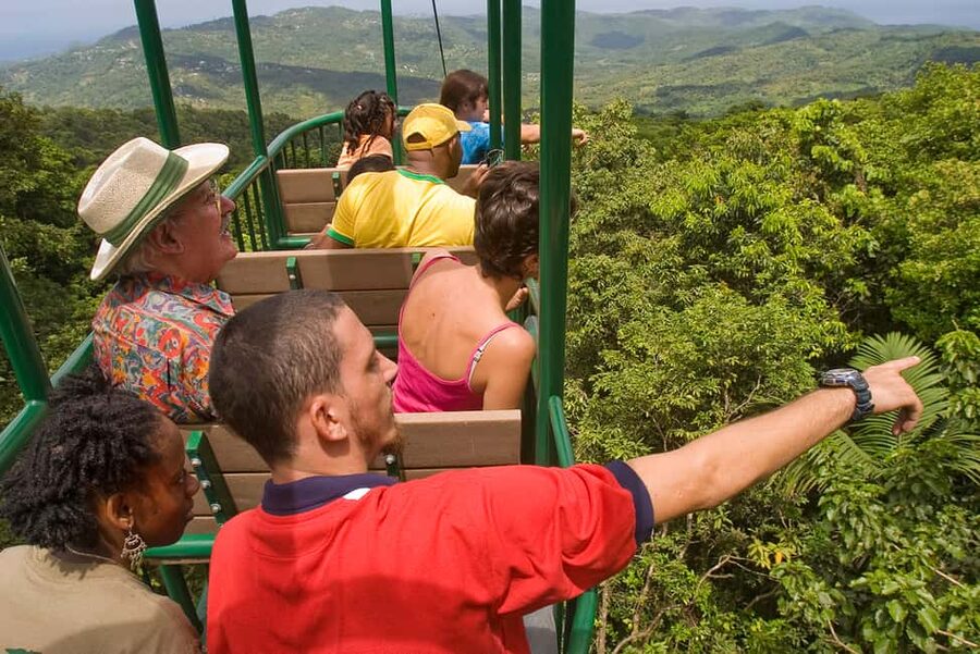 Saint Lucia: Aerial Tram Tour at Rainforest Adventures - Why the guide makes a difference