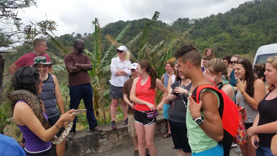 Saint Lucia: Private Island Tour with Customizable Itinerary - Sulphur Springs and Saint Lucia’s volcanic core