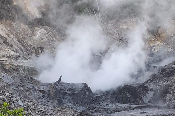 Saint Lucia Sulphur Springs Rejuvenating Mud Bath Tour - What is included, and what still costs extra