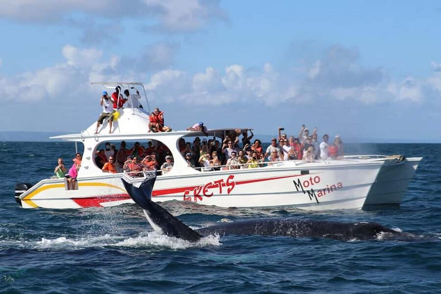 Samana: Whale Watching and Cayo Levantado Full Day Tour - Cayo Levantado changes the mood