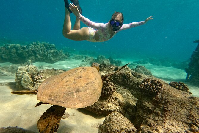 San Juan Guided Snorkel With Turtles Tour and Videos - Starting from Escambrón Beach