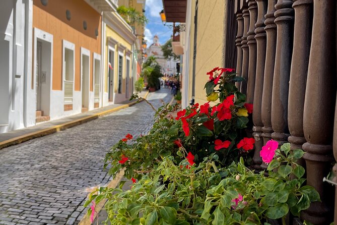 San Juan Highlights Driving Tour - Vehicle comfort, pickup, and group size