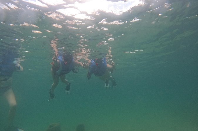 San Juan Turtle Spotting Snorkel Adventure with Videos - The guides make the largest difference