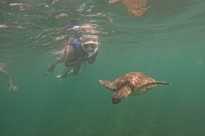 San Juan Turtle Spotting Snorkel Adventure with Videos - Getting comfortable with the mask and snorkel