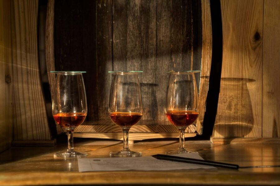 San Pedro De Macoris: Ron Barcerló Rum Factory Tour - What the $20 price really gets you