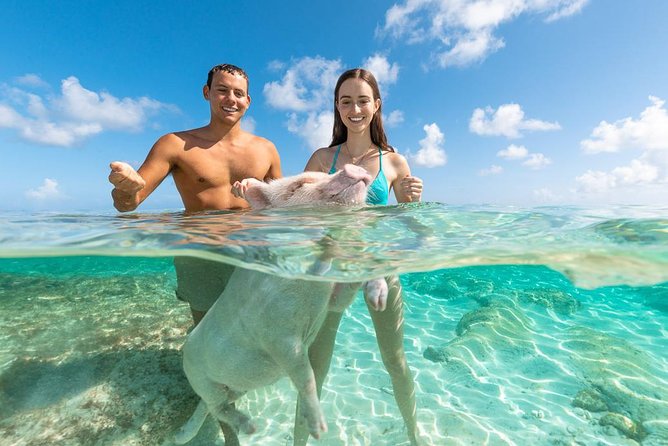 Sandy Toes The Original Rose Island and Swimming Pigs Tour - Practical details that can save your morning