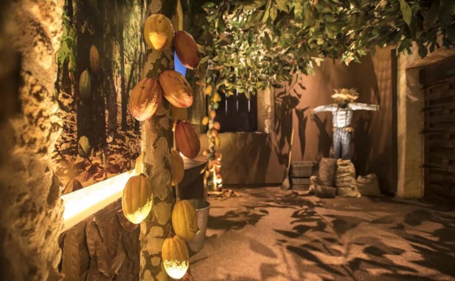 Santo Domingo: Chocolate Tour + Optional Workshops - Fermentation and drying explain the flavor