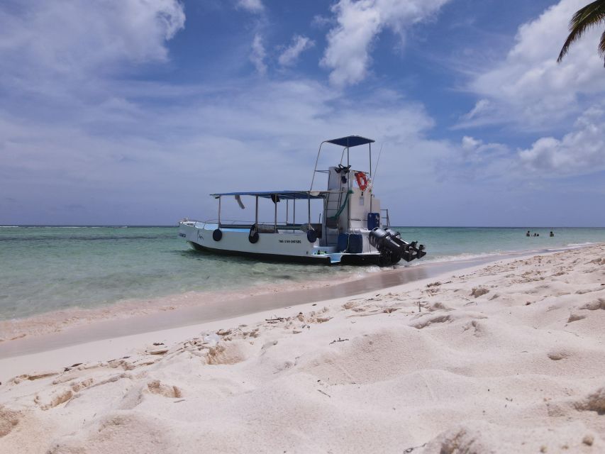 Saona Island: Beach & Natural Pool Small-Group Tour w/ Lunch - Should you book it?