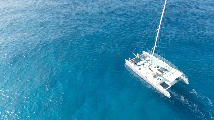Saona Island: Catamaran Excursion with Lunch and Drinks - How the timing affects the value