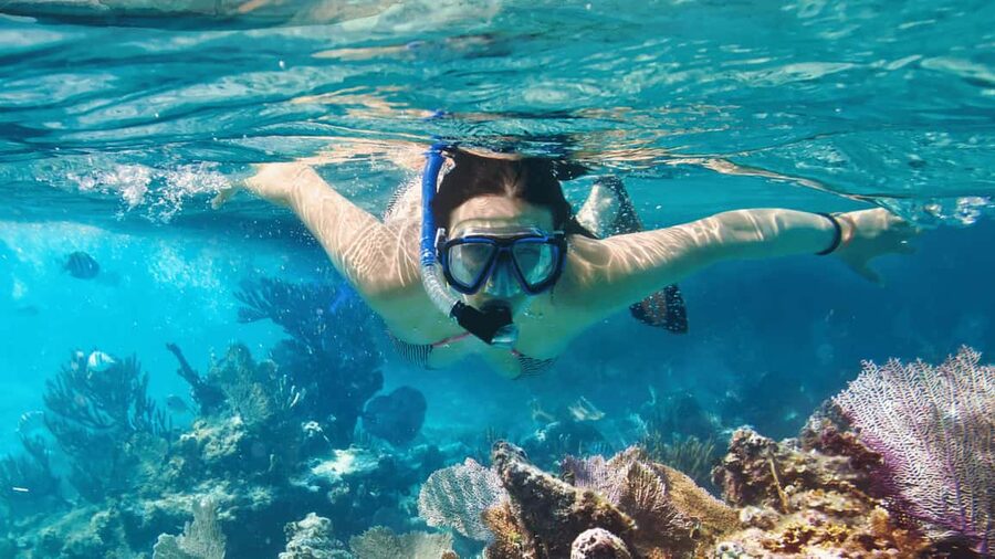 Saona Island: Catamaran Excursion with Lunch and Drinks - What to pack and how to avoid trouble