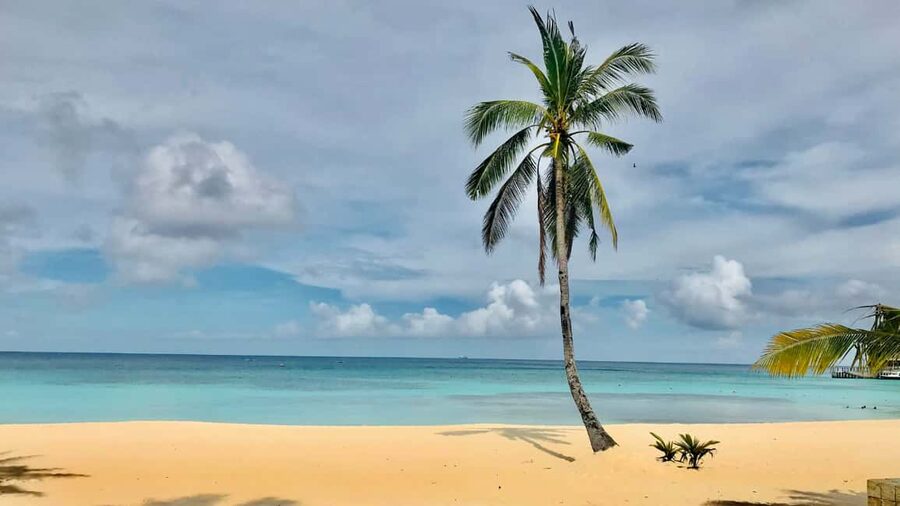 Saona Island: Catamaran Excursion with Lunch and Drinks - Who should book this Saona excursion?