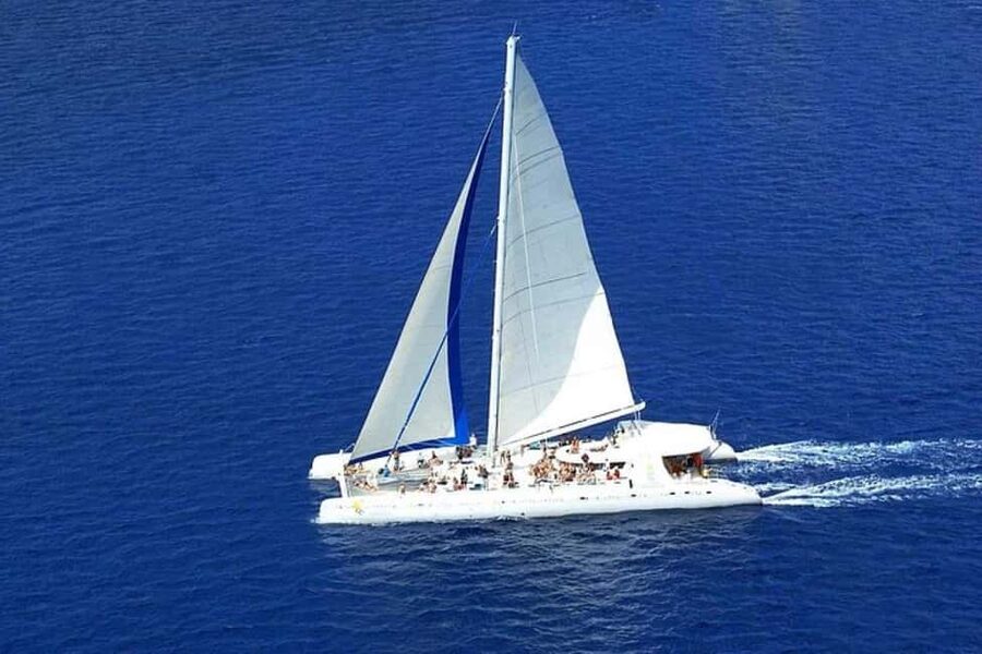 Saona Island: Catamaran/Speedboat Tour to a Dream Beach - Key points before you book