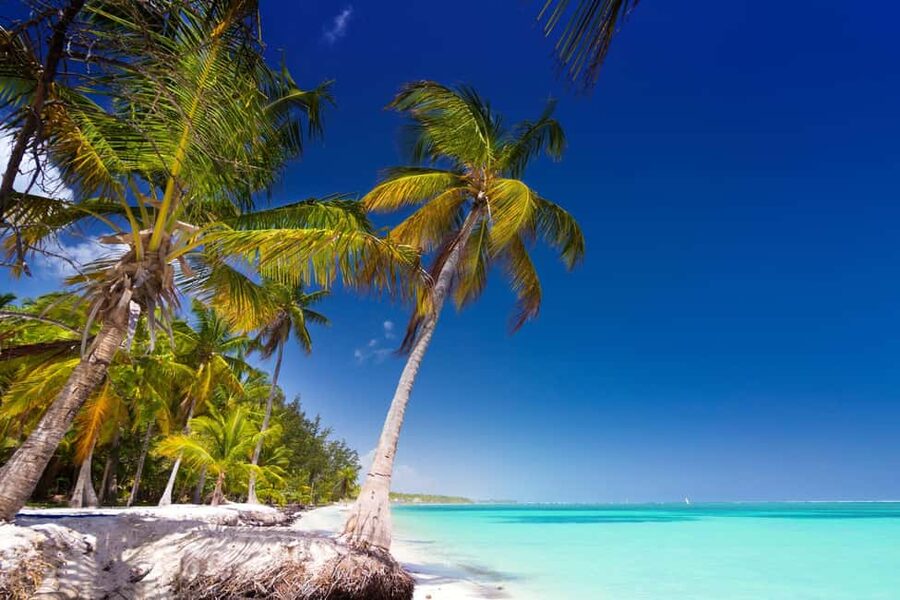 Saona Island: Catamaran/Speedboat Tour to a Dream Beach - What $89 gets you