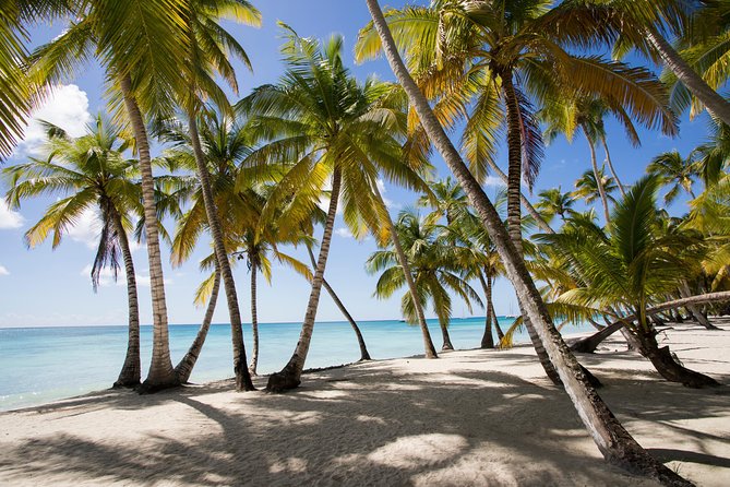Saona Island Day Trip From Punta Cana with Lunch and Open Bar - Key points to know before you book