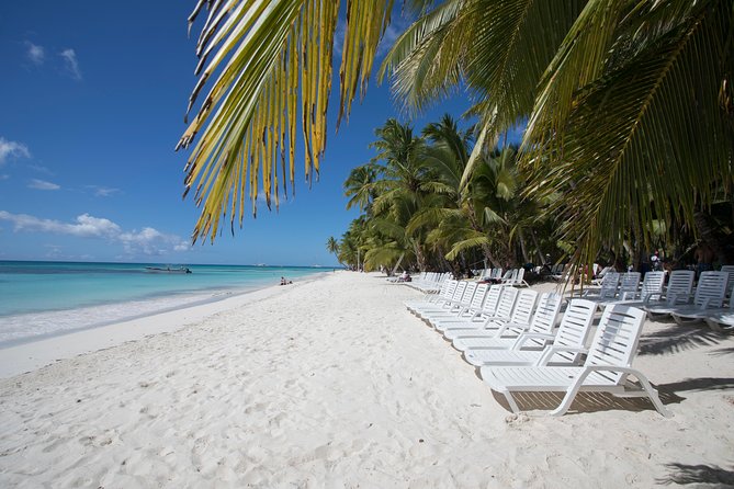Saona Island Day Trip From Punta Cana with Lunch and Open Bar - A 30-minute stop at the natural swimming pool
