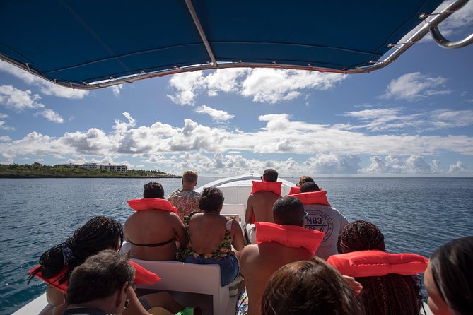 Saona Island Day Trip From Punta Cana with Lunch and Open Bar - Buffet lunch with Dominican flavors