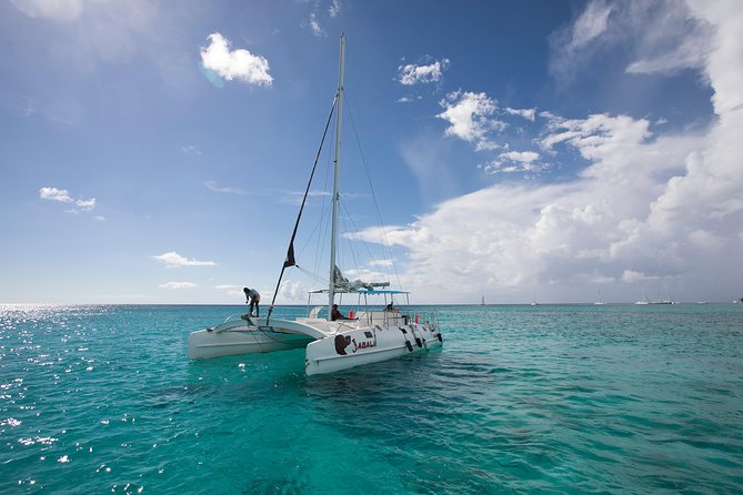 Saona Island Day Trip From Punta Cana with Lunch and Open Bar - Open bar and the catamaran ride home
