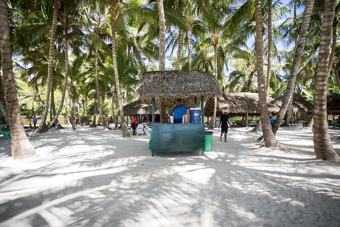 Saona Island Day Trip From Punta Cana with Lunch and Open Bar - What the $82 price really covers